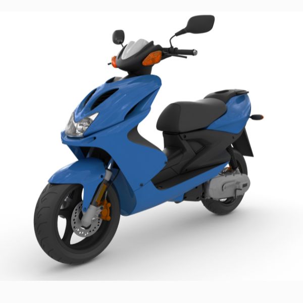 Envy Electric Scooter – 250W BLDC Motor, 48/60V Battery, ABS Body